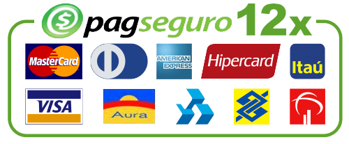logo pagseguro